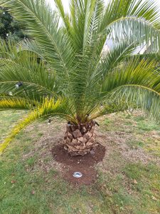 éclairage de jardin